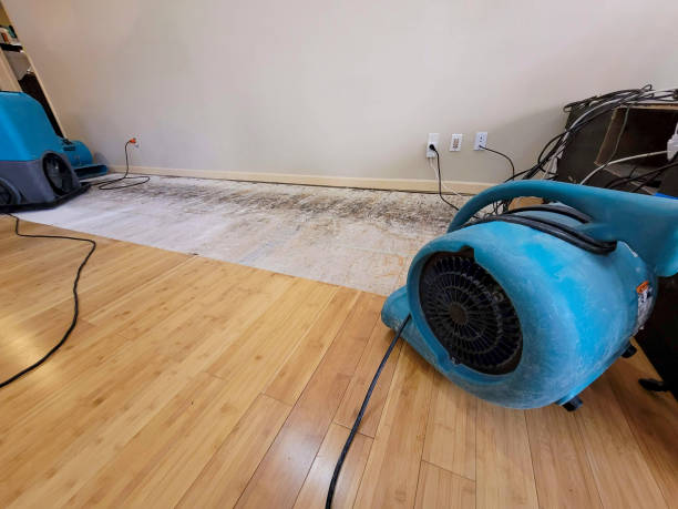 Professional Water Damage Repair technician working in Folsom, CA
